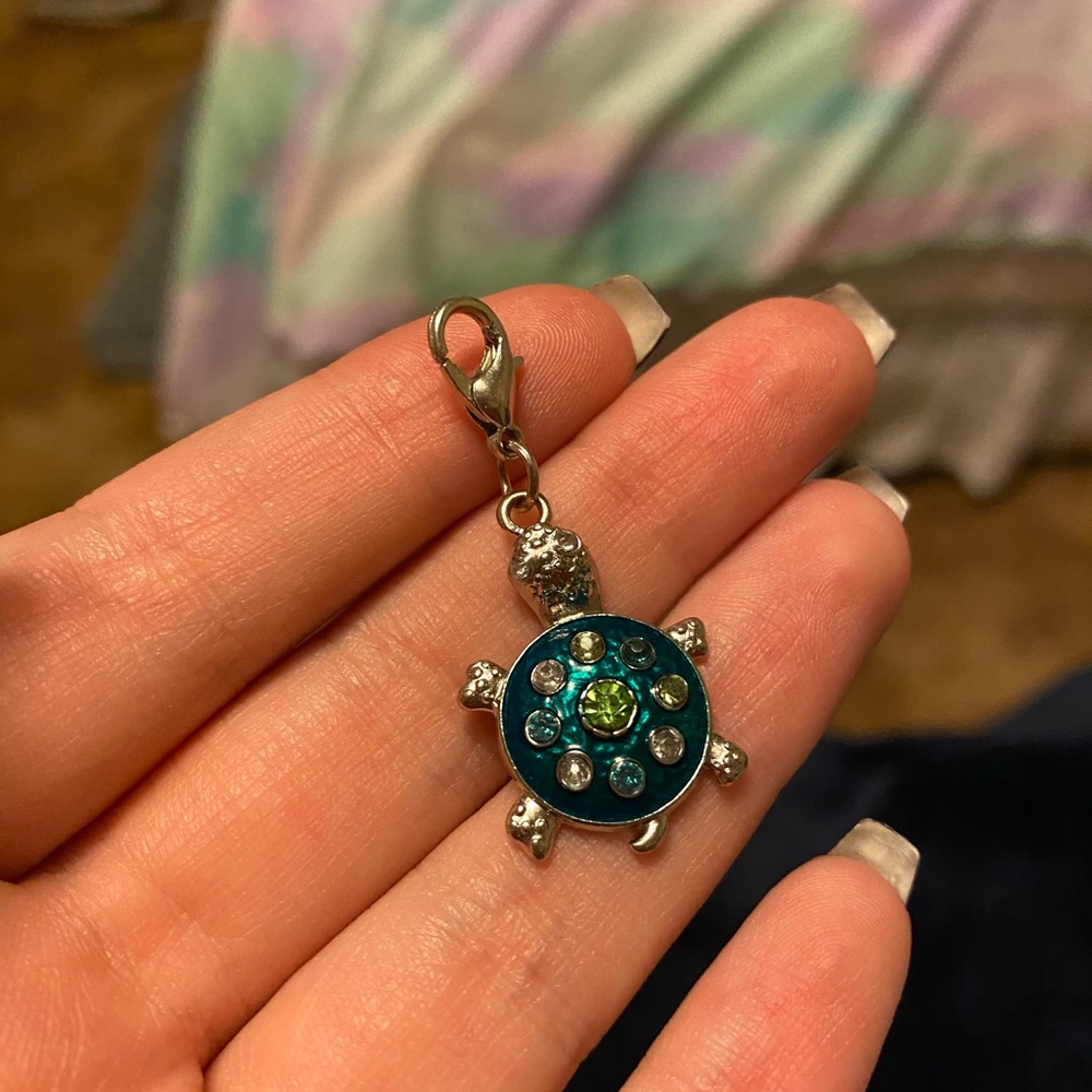 Turtle Charm